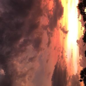 Meet your Posher, Dennis